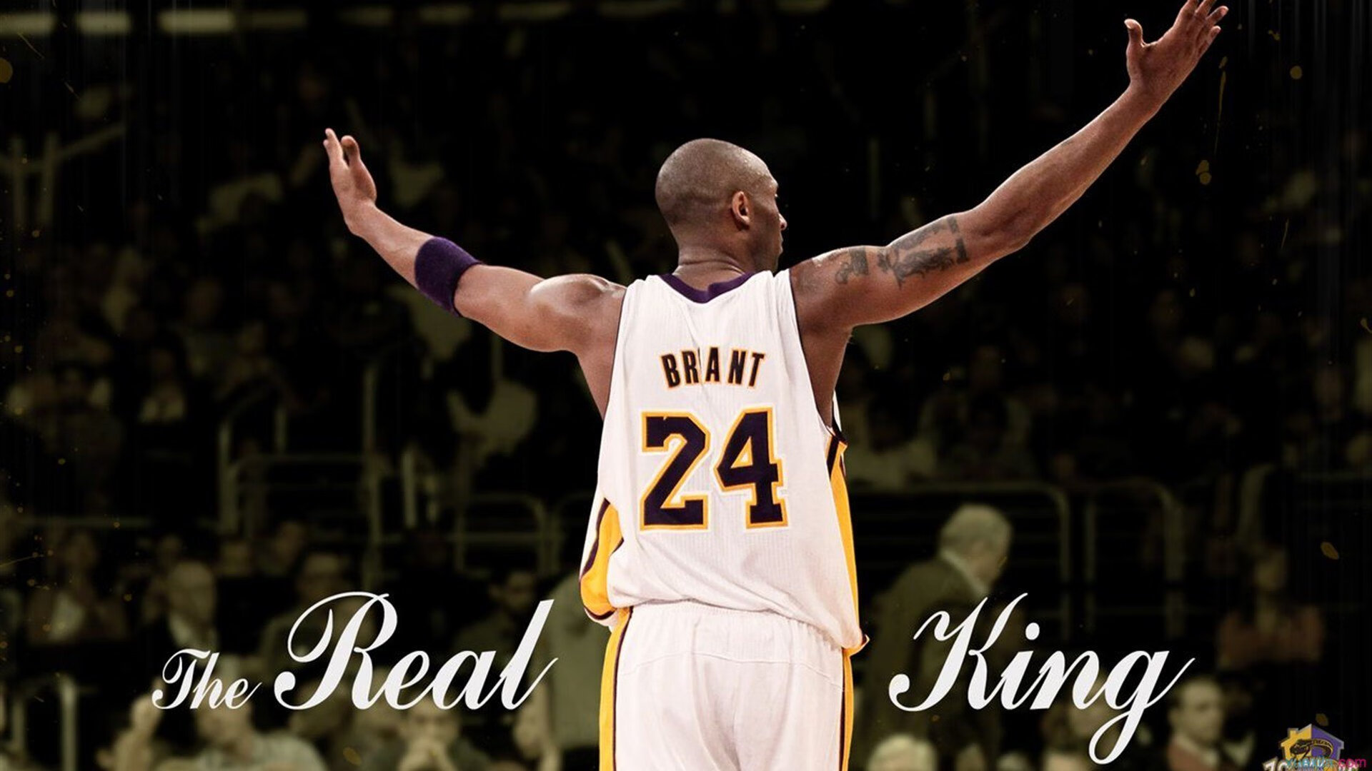 电竞赛事粉丝互动体验提升,电竞圈粉丝叫什么